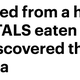 Via Daily Mail